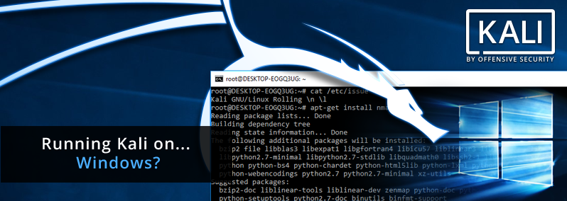 Kali Linux - Penetration Testing Distribution on Windows