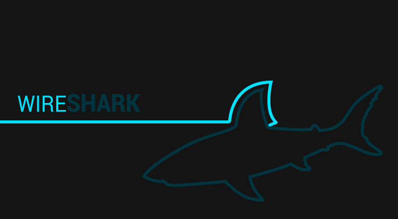 Well Known Network Protocol Analyzer: WireShark