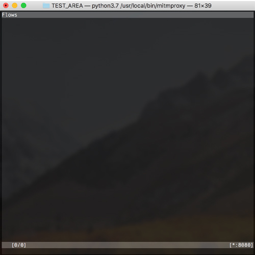 mitmproxy Welcome Screen