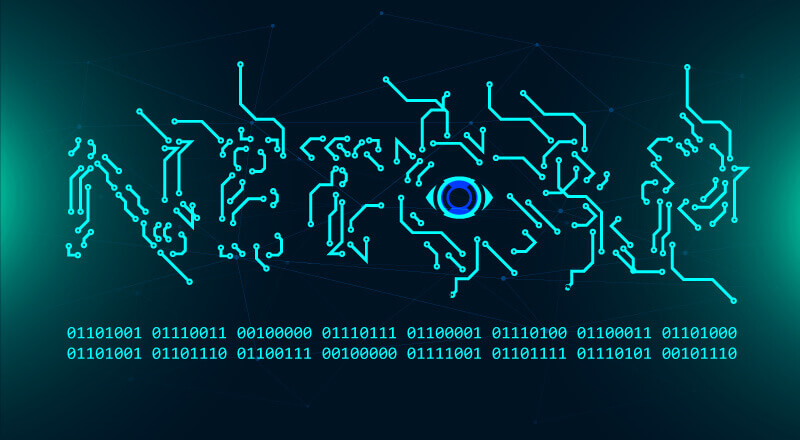 Netcap: Secure and Scalable Network Traffic Analysis Framework